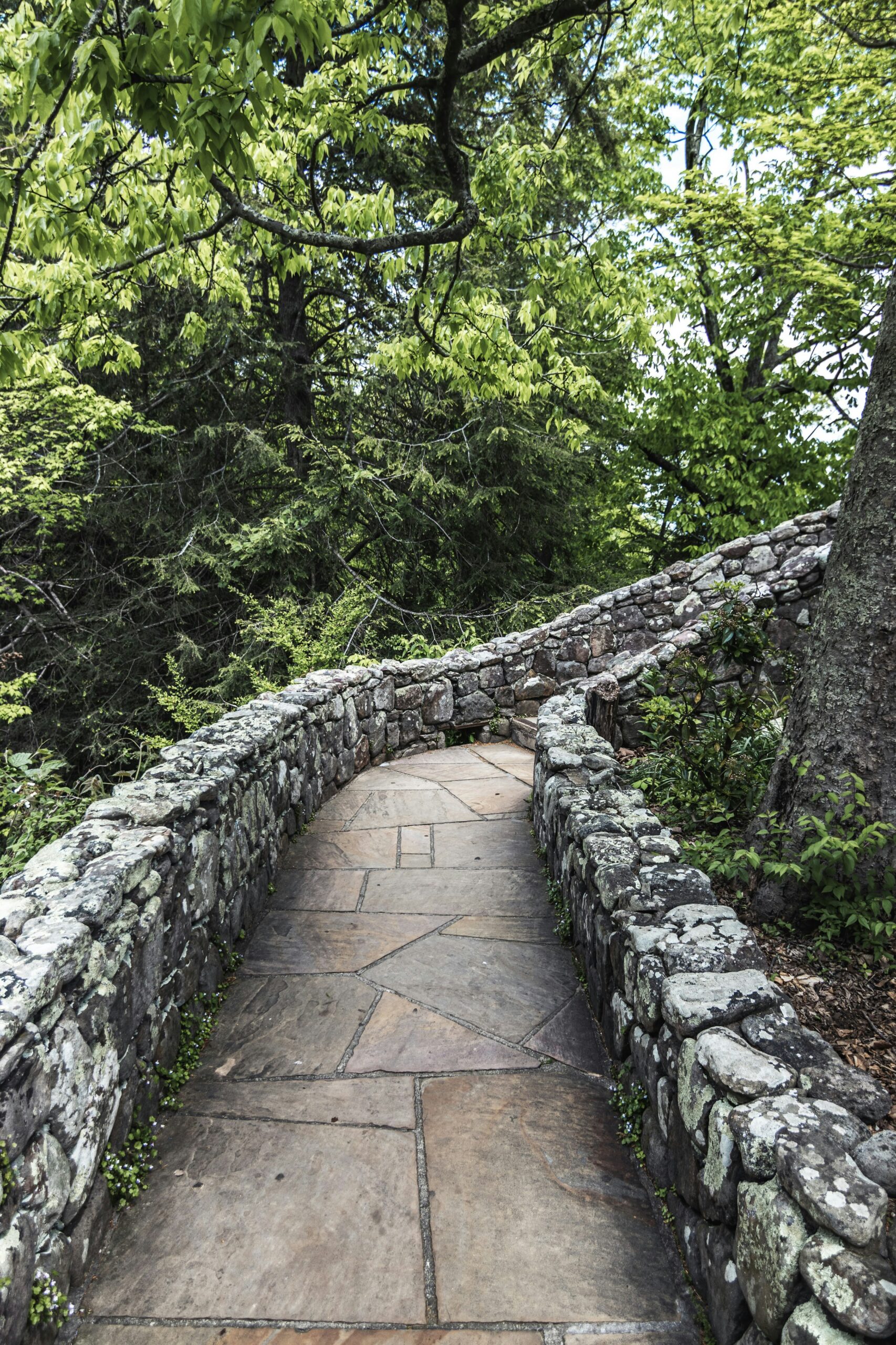 A flagstone path leading away from the viewer and curving upward to the right. It's framed by low stone walls and winds through lush green forest.